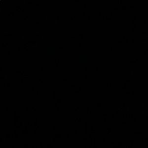 Meet your Posher, Joey